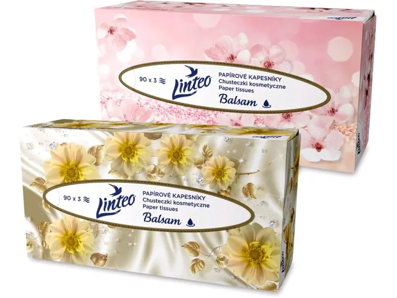 Papírové kapesníky PAPERNET v krab. á 100ks 409744